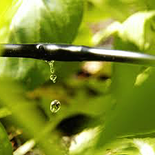 our West Little River sprinkler repair pros can install top quality micro irrigation systems