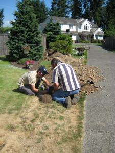 two irrigation contractors in Hialeah, Florida install a new ground pipe